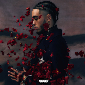 欧美黑人做爱视频
