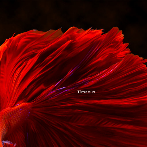 欧美黑人做爱视频
